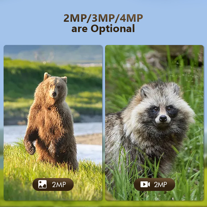 4G 4MP Outdoor Wildlife Huntin - огляд і ціна Outdoor Hunting Camera Wireless